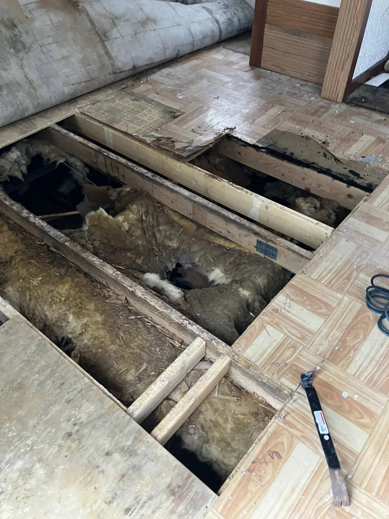 Rotted floor joists before repair