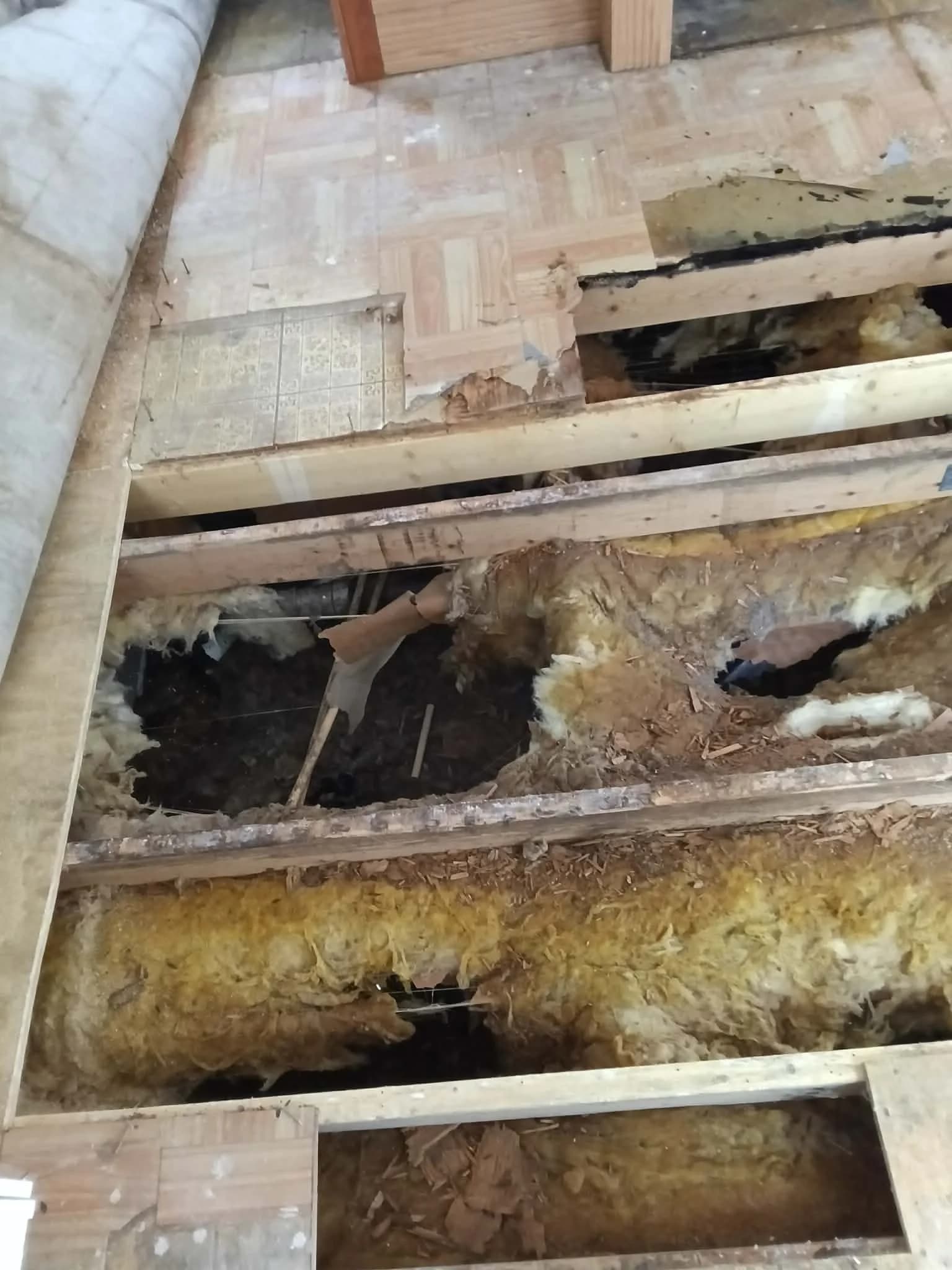 Subfloor damage before repair