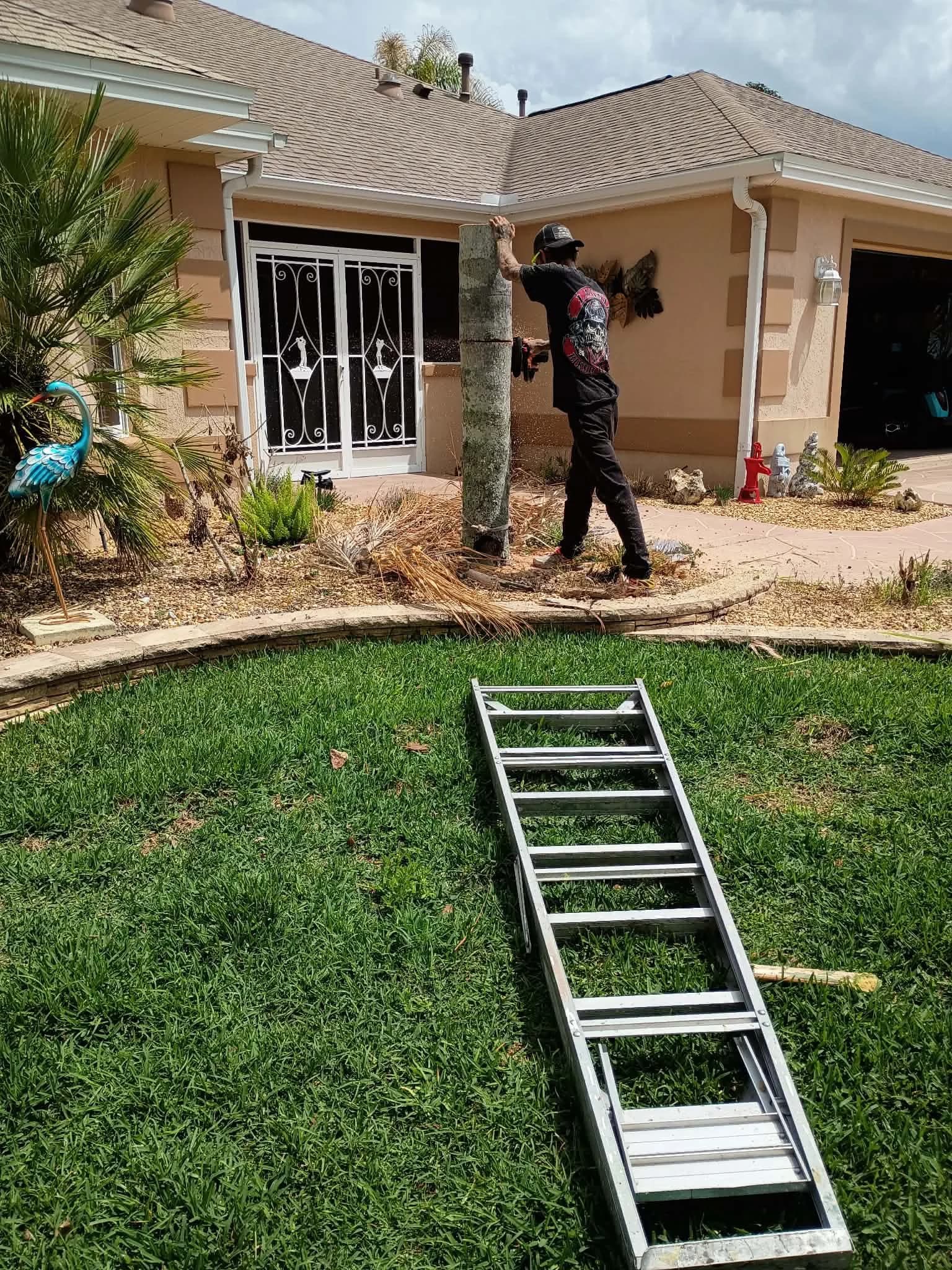 Exterior trim and landscaping