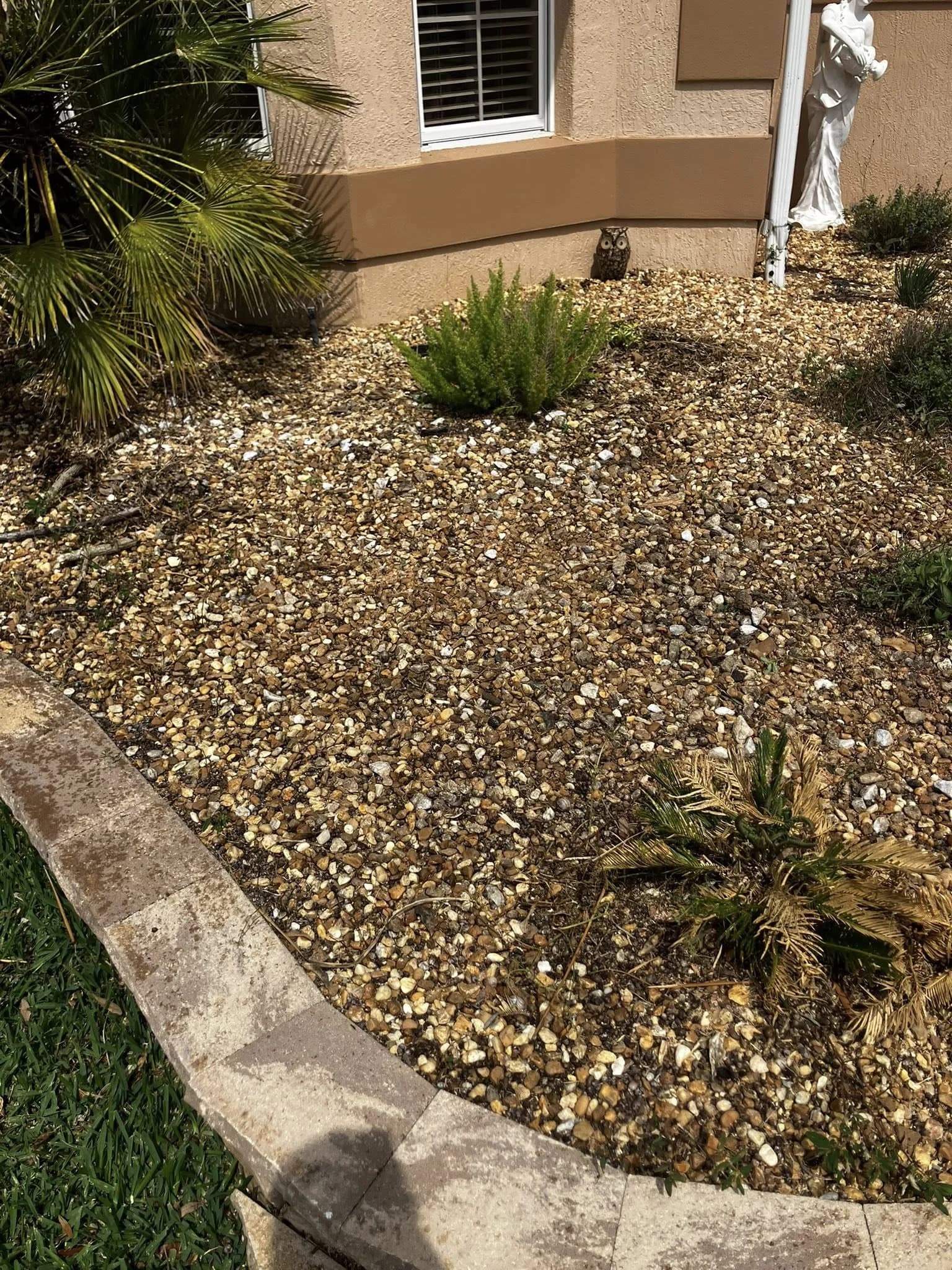 Xeriscape garden bed