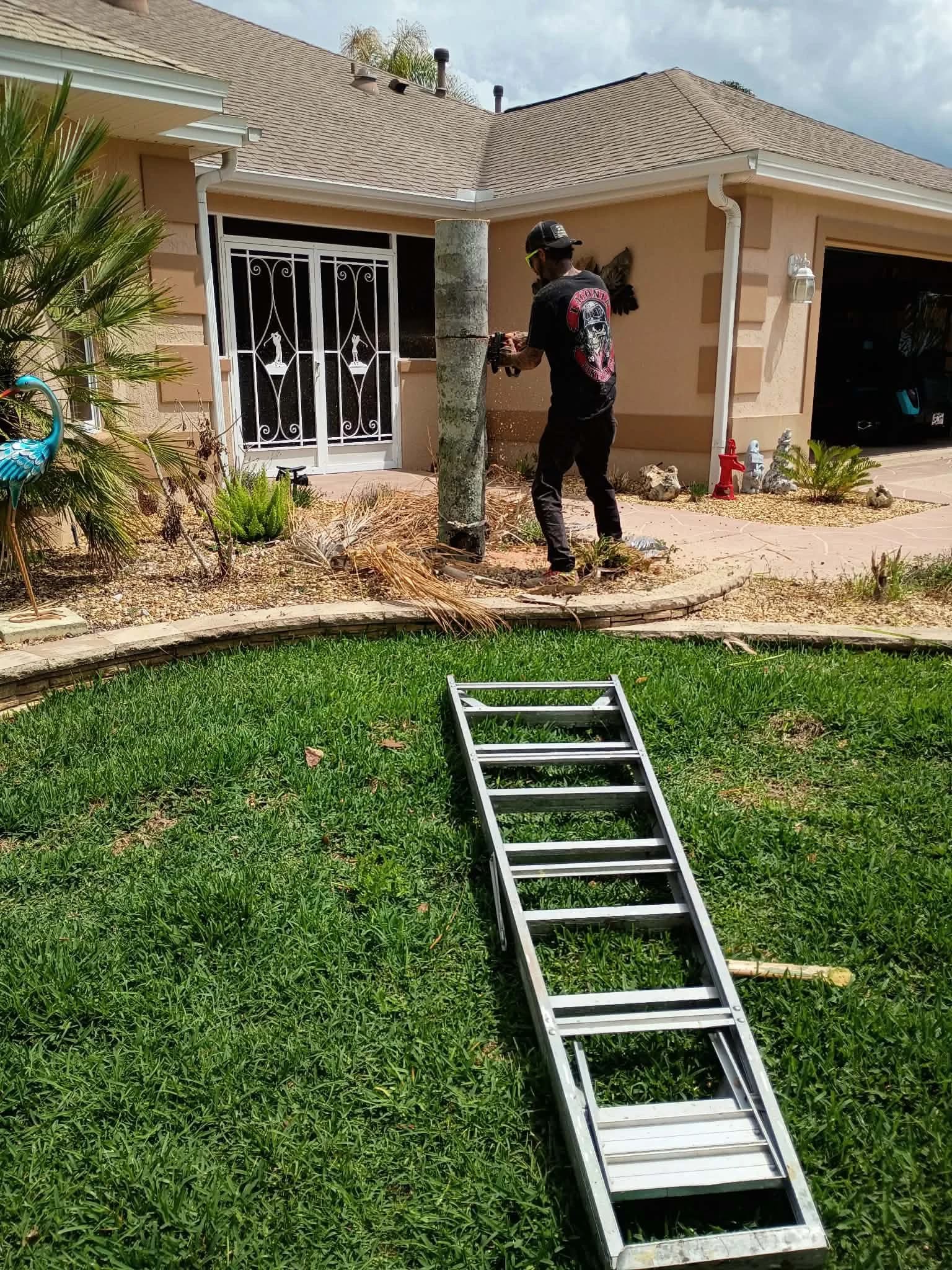 Low-water xeriscape planting