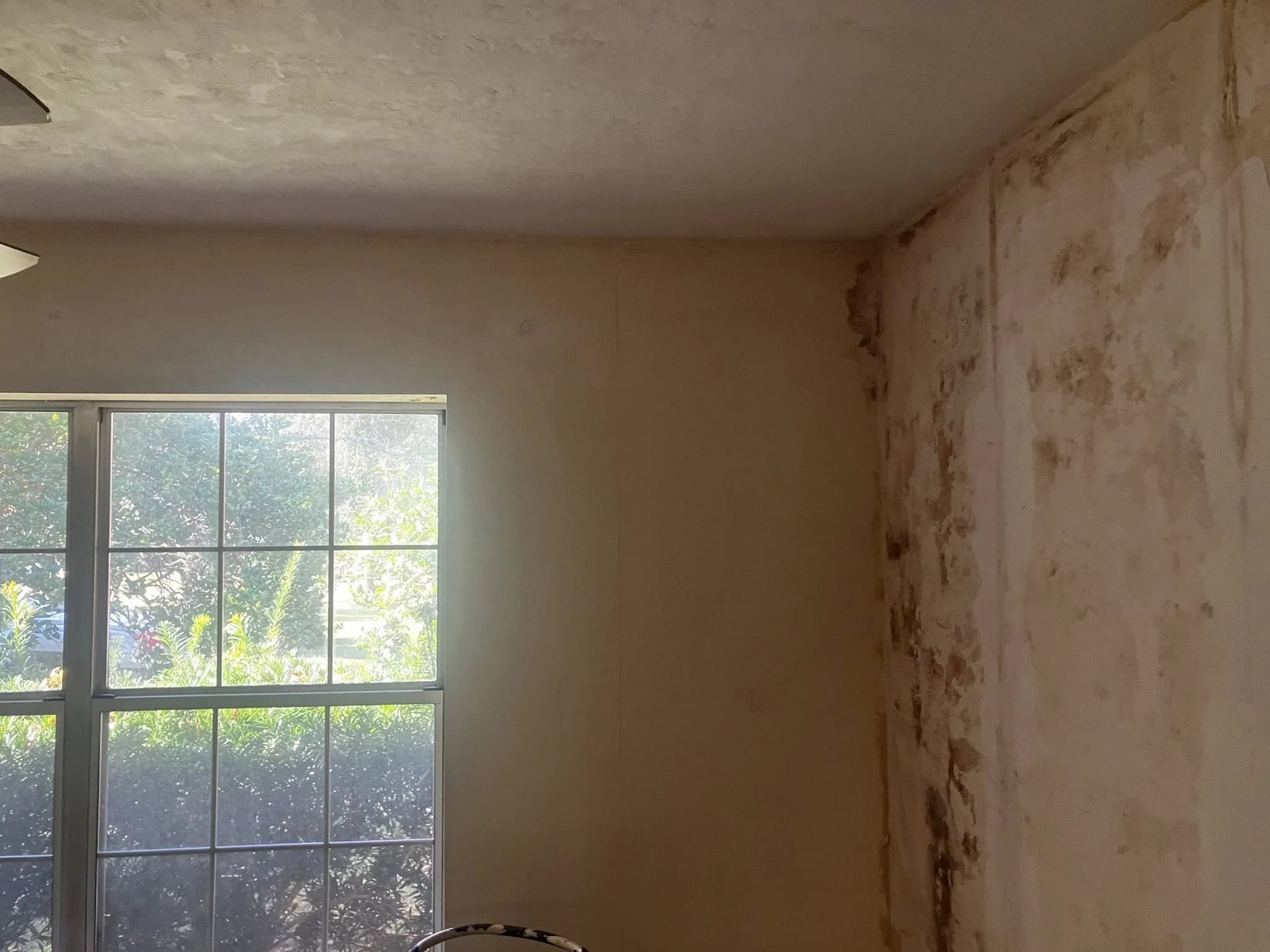 Mold damage discovered before repair