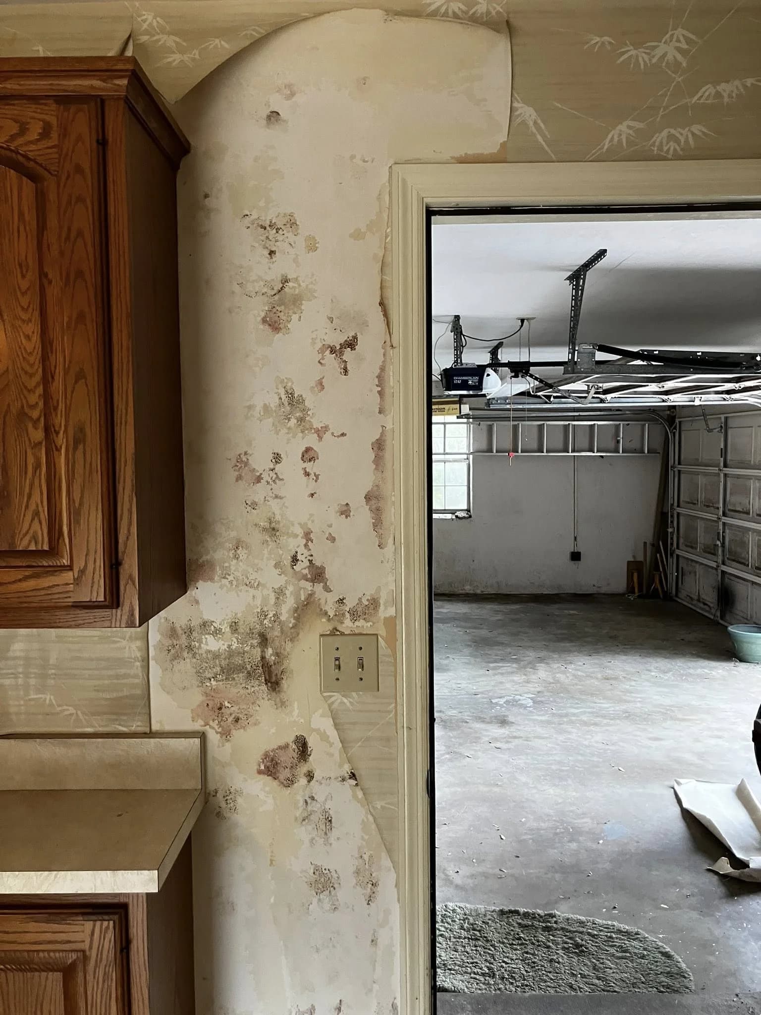 Mold remediation before treatment