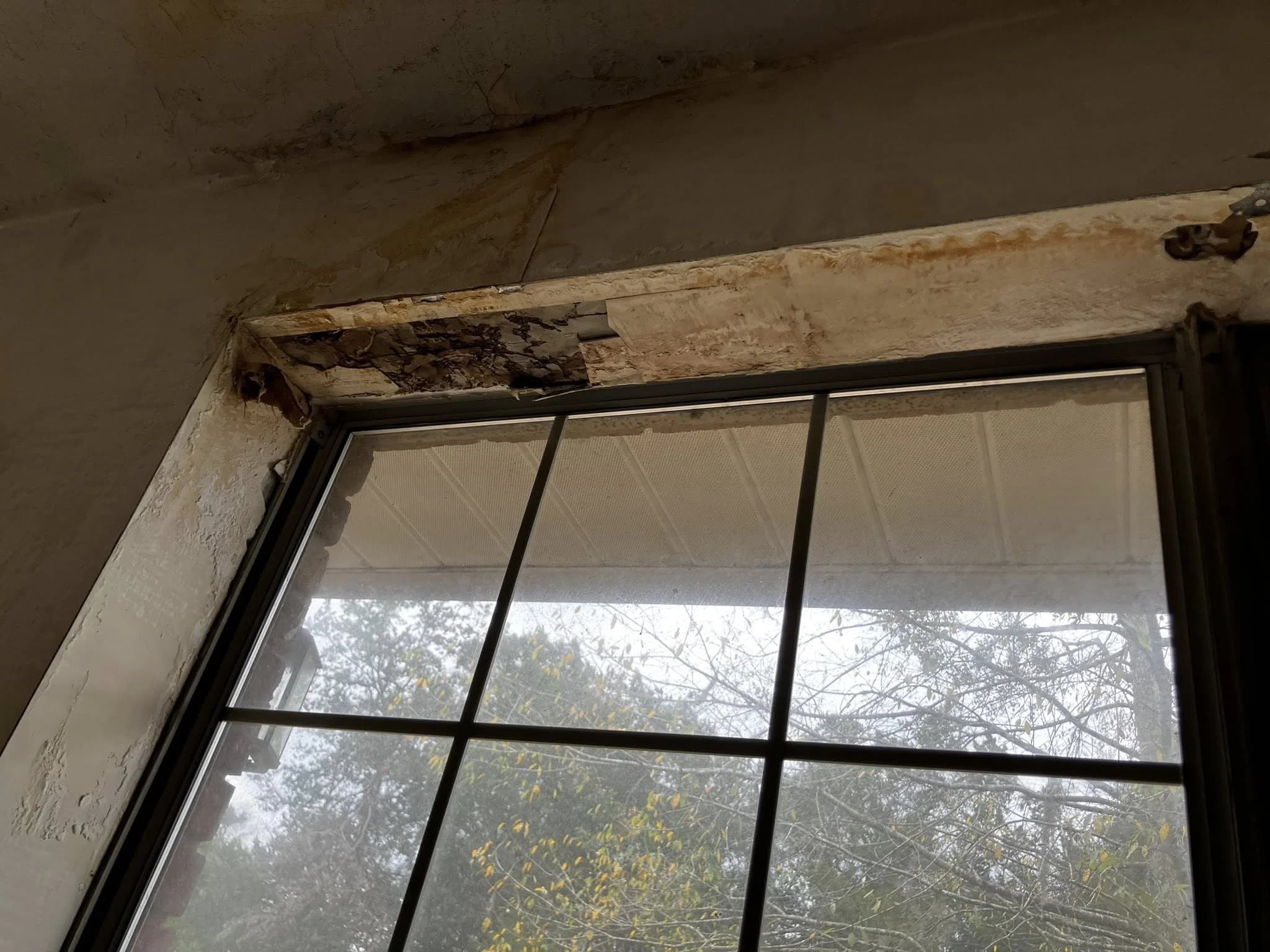 Window rot damage before repair