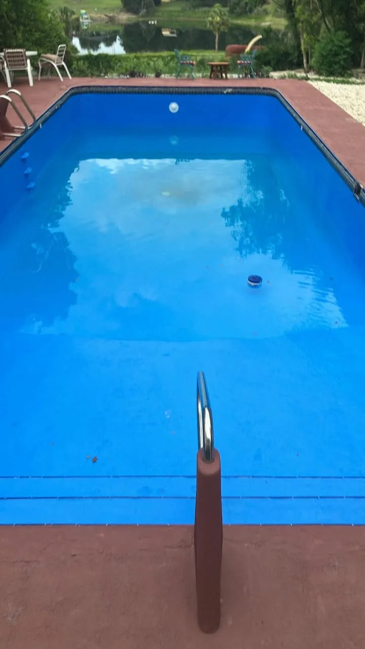 Restored in-ground pool with clean clear blue water and a lakeside view
