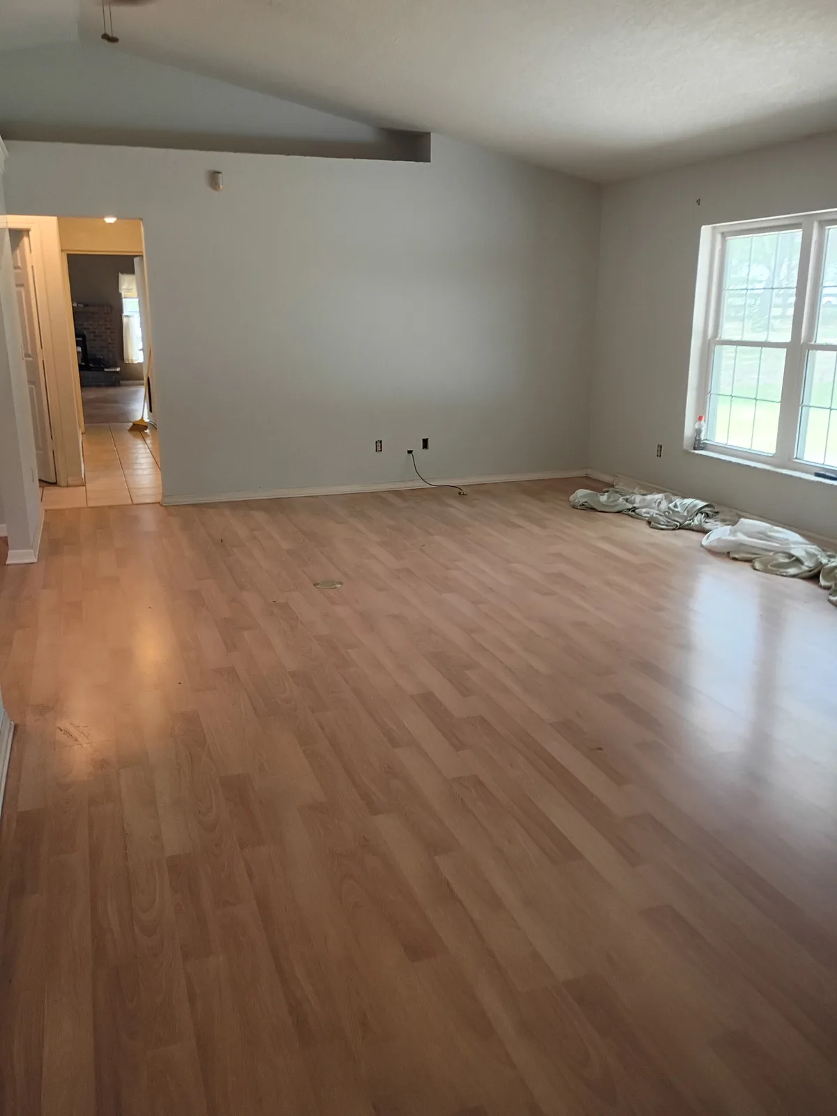 Whole-home interior paint transformation — living room with fresh light gray walls